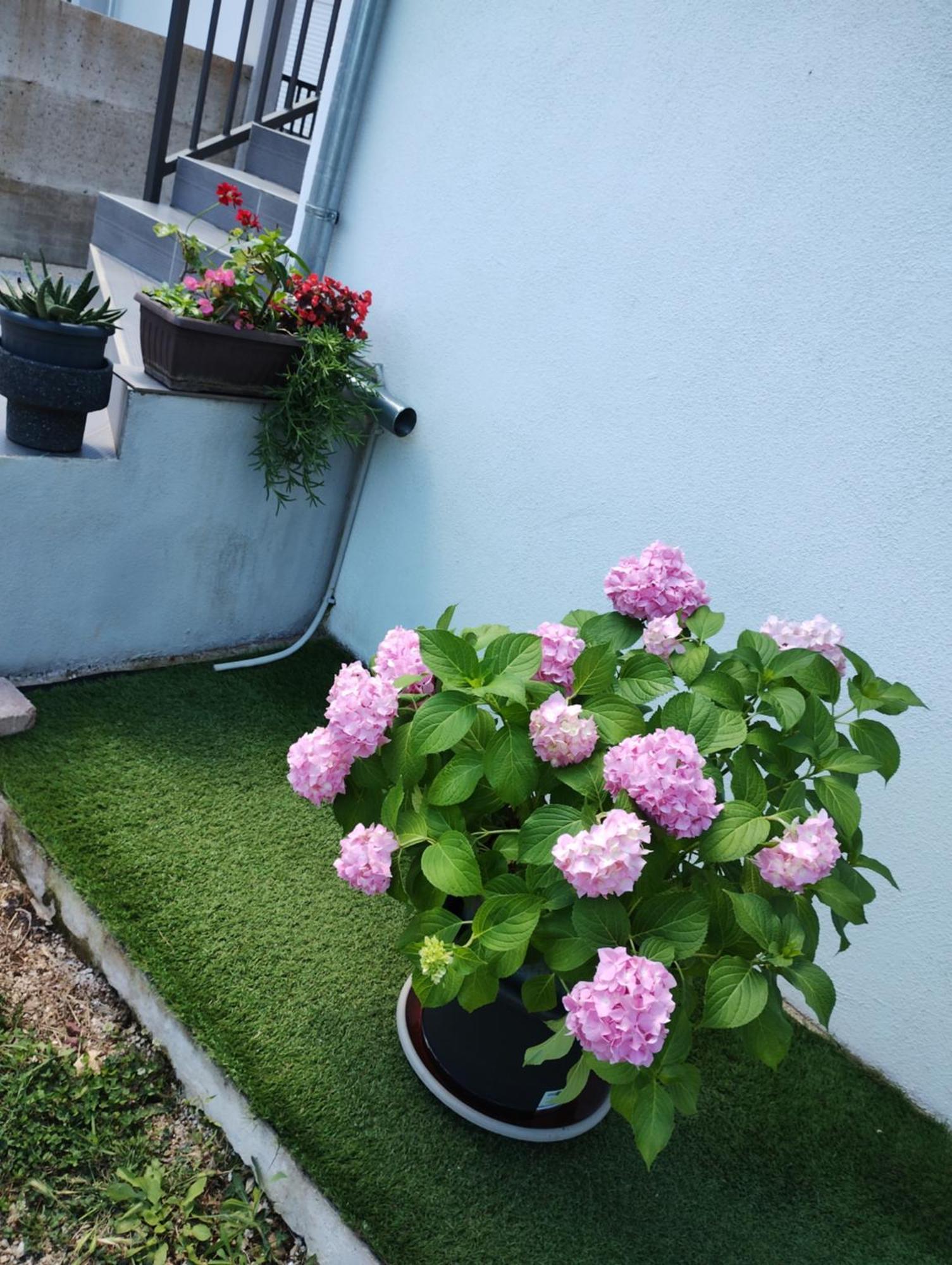 Apartman Enia Murvica  Room photo